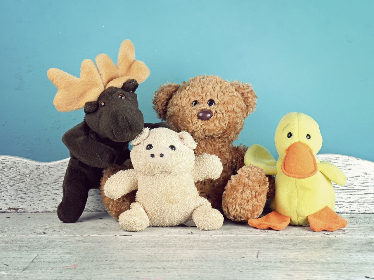 ぬいぐるみを捨てられないと思う理由｜手放すときに後悔しないコツ  